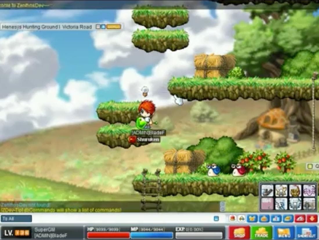 MapleStory Private Server